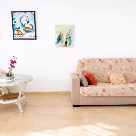 Apartamento Naufragos Con Terraza