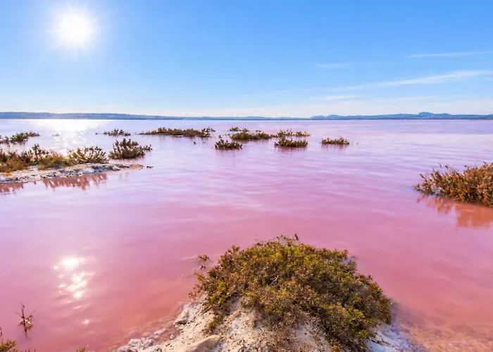 Naufragos Con Terraza Torrevieja